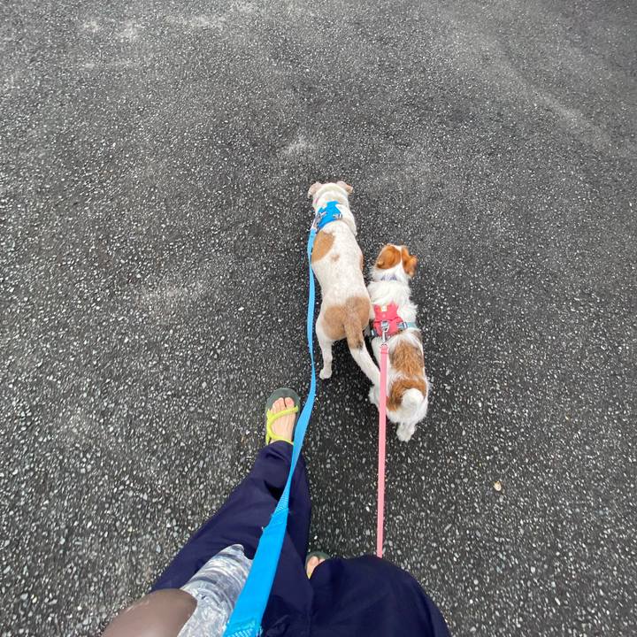 05905c60 5731 416a a554 23562aa839d6 1717288287954