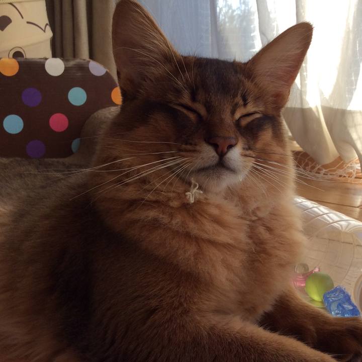 0590800b 79e6 4b0b a3d3 231fba5d42ed 1579953429644