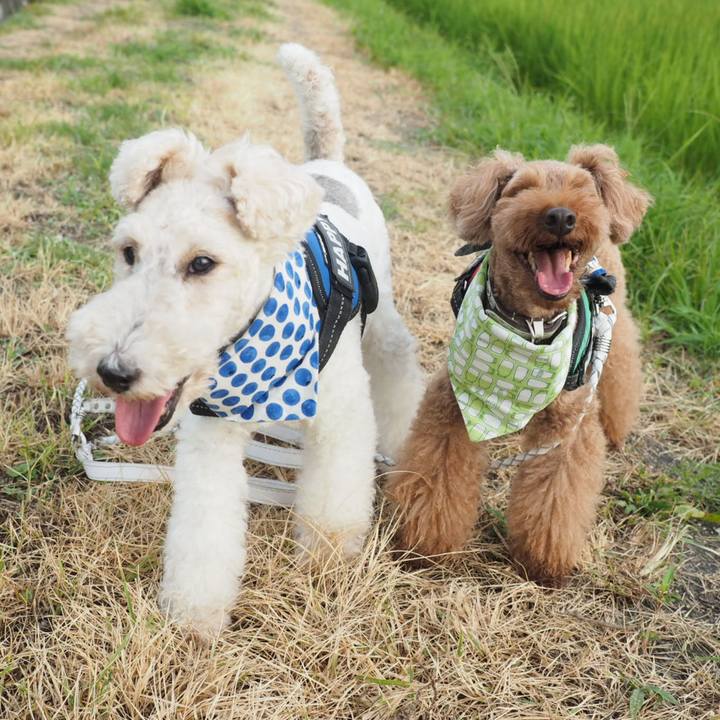 05908038 f140 4168 82ee 7c1e3985e1ef 1564877462405