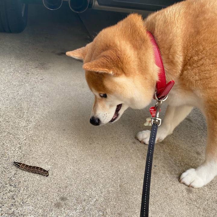 05908dd8 4fc3 4589 bb47 3912e77cdd0b 1600384959856