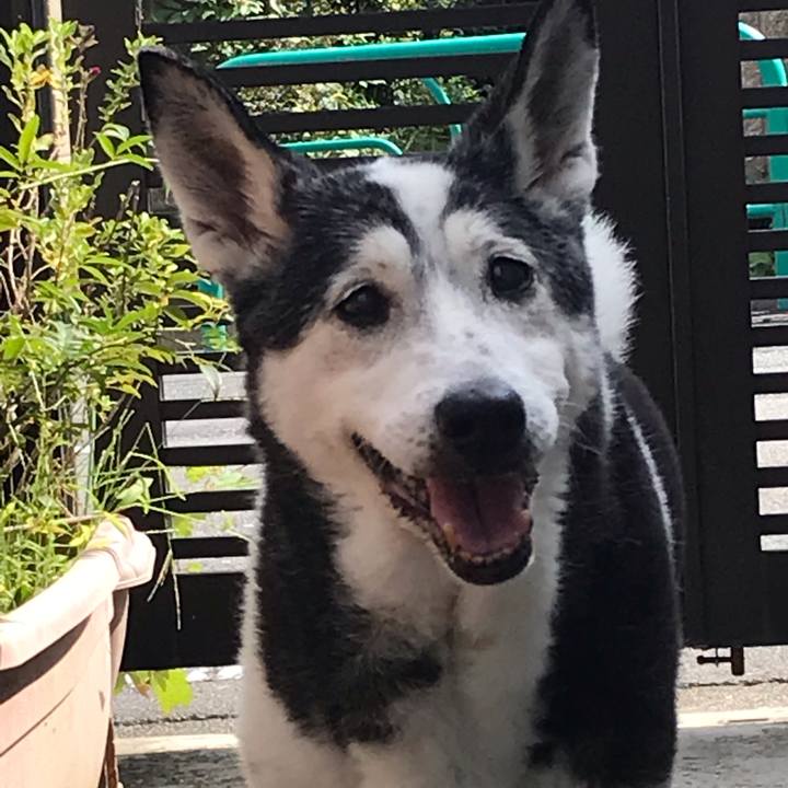 05908e90 3093 4002 934a e1d04ad1e23a 1568943984896