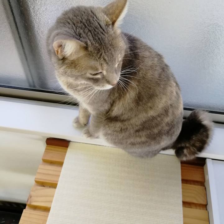 0590acd2 e99c 429d 8979 10bc88b9cee2 1538034979333