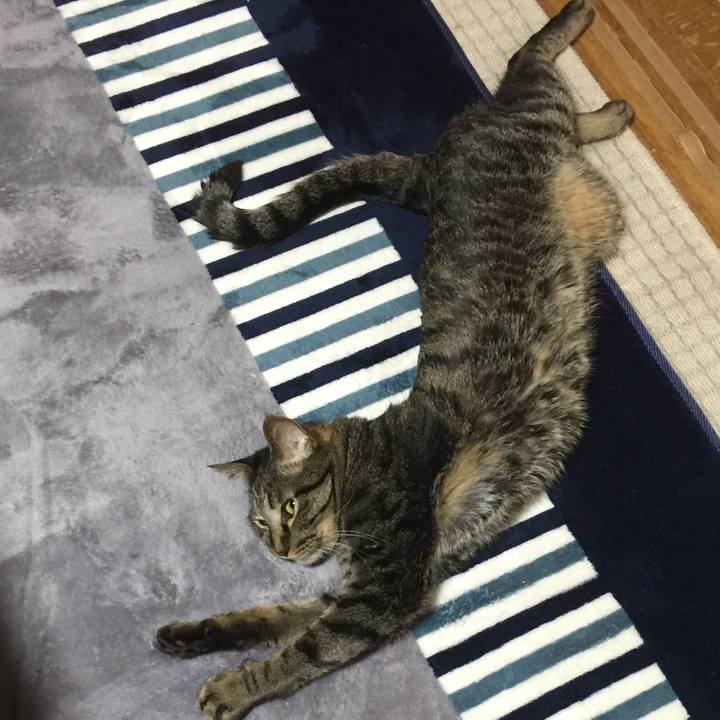 0590c7d4 2c34 4963 b5a2 550b9d7d5a0d 1530068069439