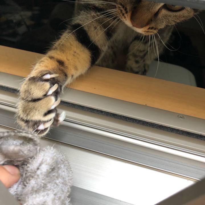 059127c5 a297 46ac a90a 7c6a5a9a9d0e 1554390729569