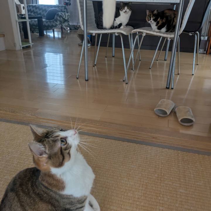 0591bda8 ea18 42f4 9b54 0d4e01006026 1769608453921