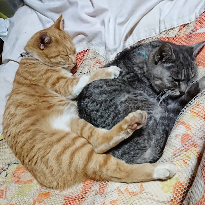 0591be7f f197 49aa 8421 3f4c5c4cac01 1574083572242