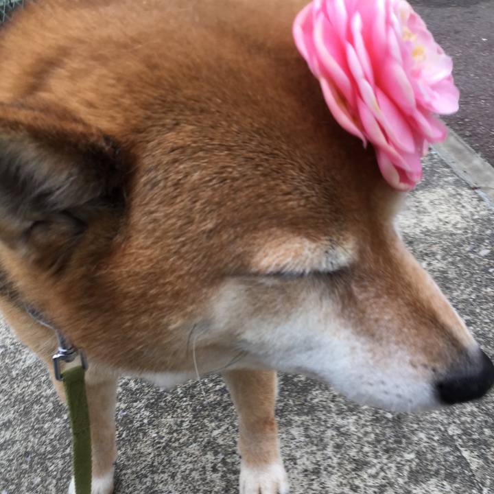 0591d24a 04c3 4d6e ba50 008b0714e610 1586681555392