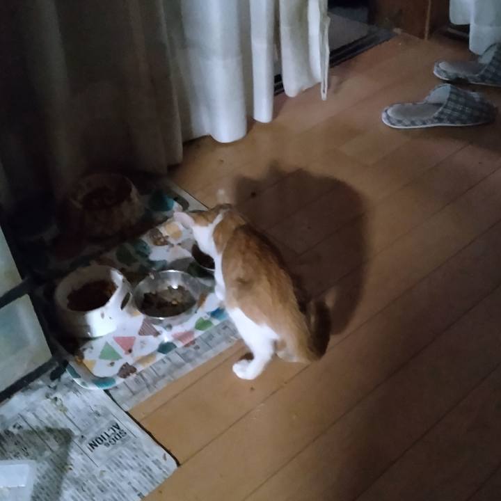 0591d843 955b 4bb9 a171 4e9460520b23 1727129259066