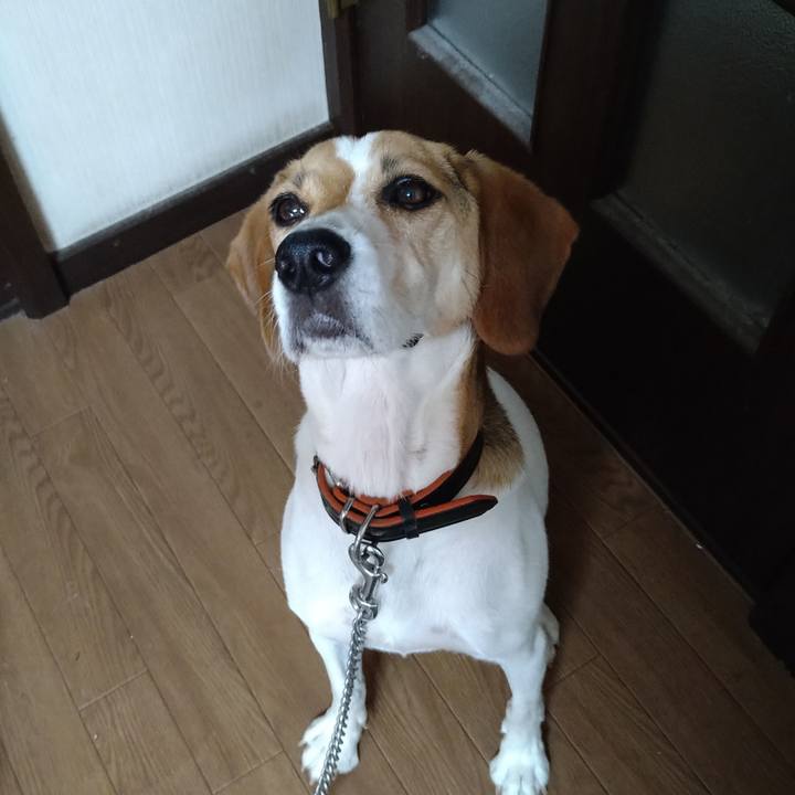 0591e512 9b5d 43c8 93ba 1c45f2350905 1627289826457