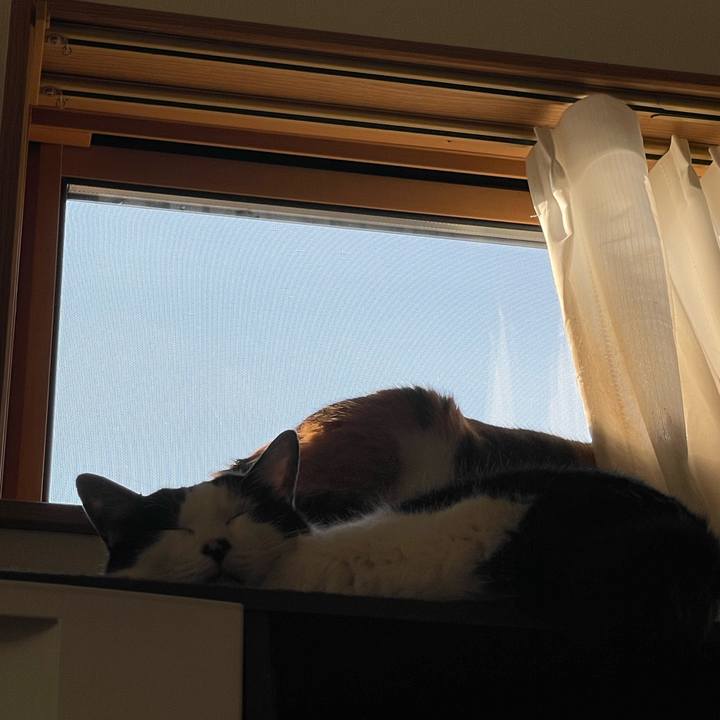 0591fb0b e3e0 4276 bfb9 3d797d6d770f 1717229390158