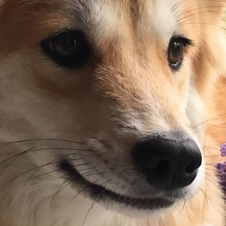 0591fe68 2a06 4a63 9752 6162d03bc190 1508036270783