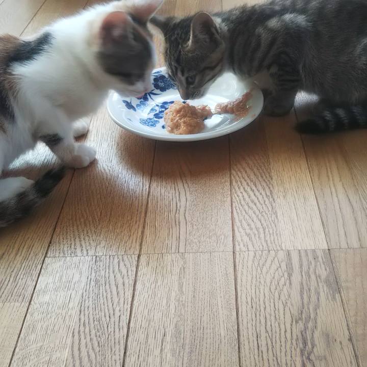 059248f2 5f31 468d 95a2 968aa9f0e337 1636092145062