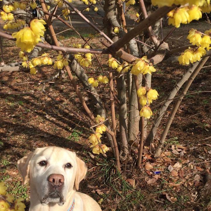 05926af8 e3fd 4ac3 904a c678fb0449a6 1549533193433