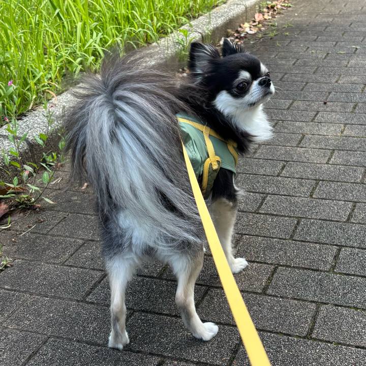 0592cfab 82c3 4825 bdc0 16e01abe5f3a 1748795464396