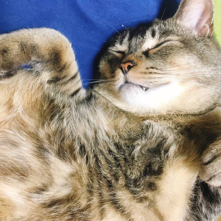 0592d40f 32d9 4ea7 ac97 f9fd8296671c 1586952463742