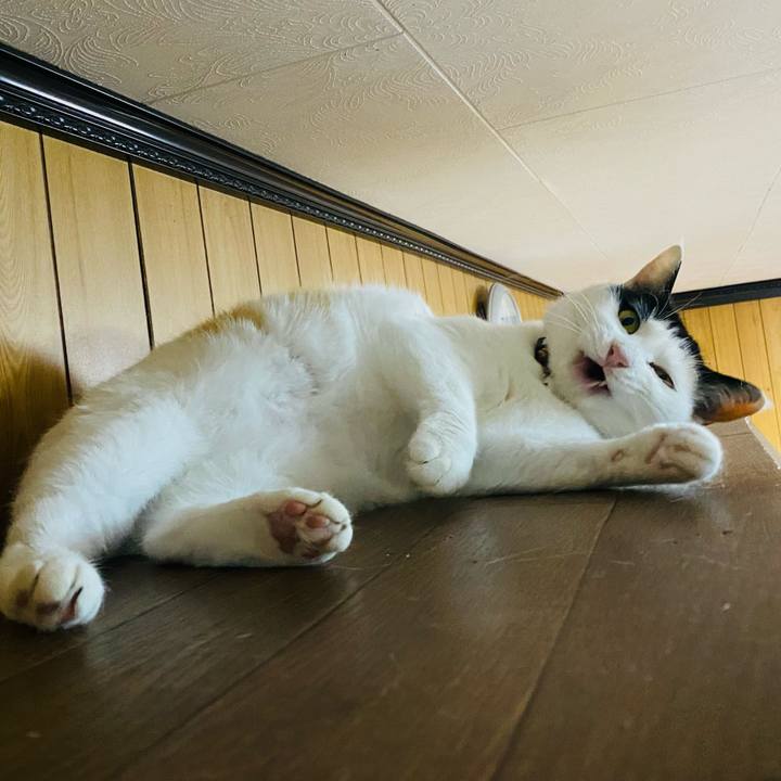 0592df28 ef87 42c7 b527 61715bec52aa 1650378588031