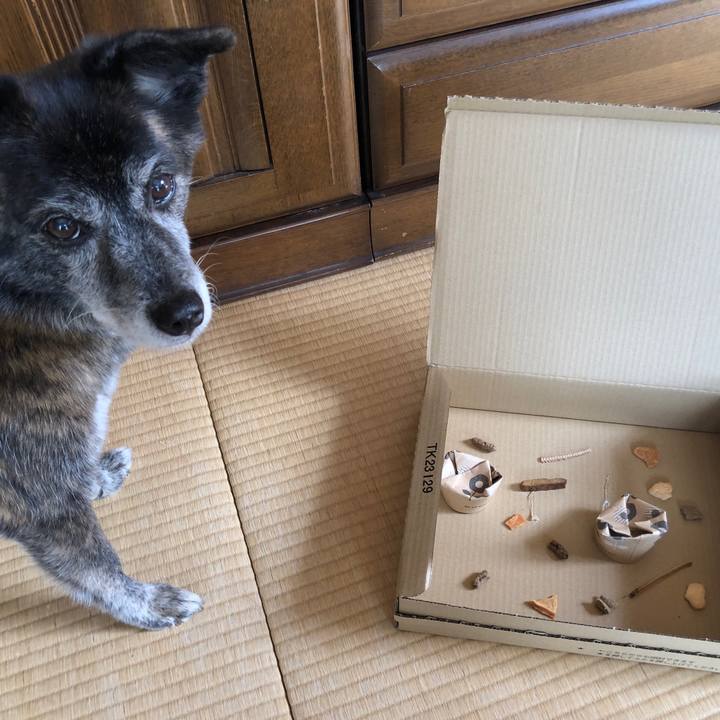 05930768 7238 4665 9f53 d702ee645f03 1697254177547