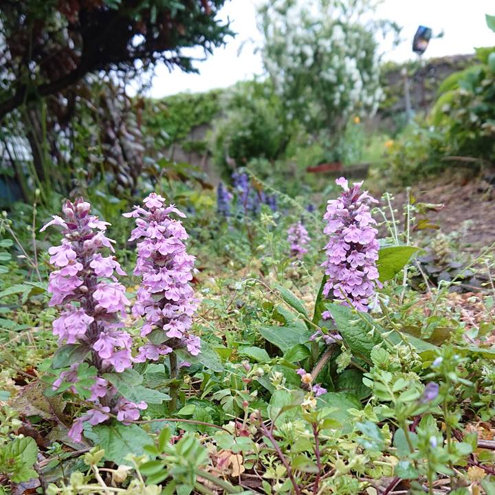 059314c9 6907 4b52 b076 8e5d2edaddf1 1649980454147