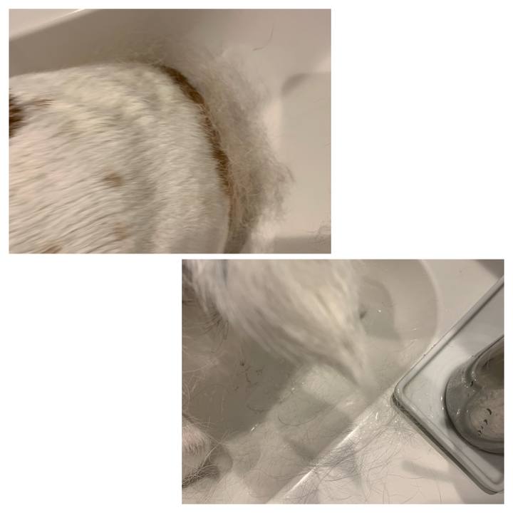 05934088 bd80 43c9 a9d8 9ee6bf5a3e49 1618991357871