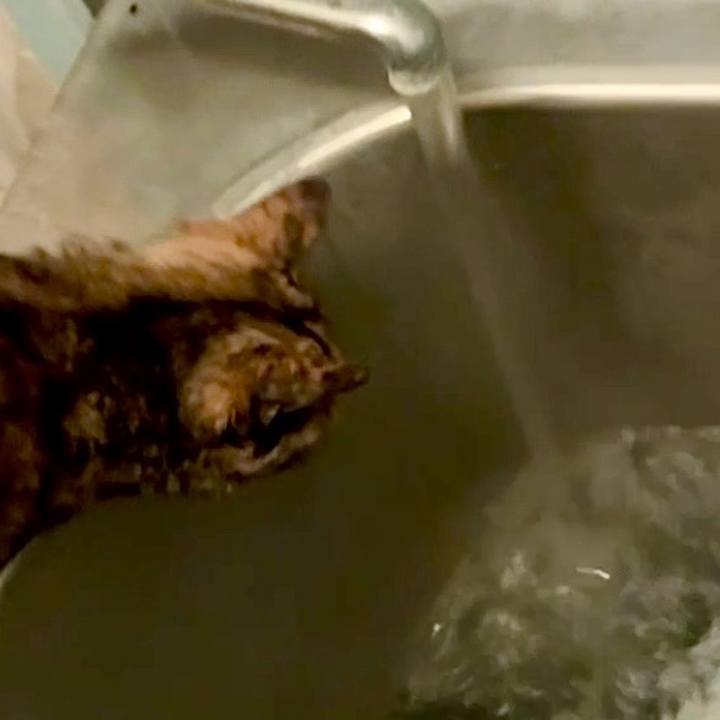 059342d1 cc7d 46ba b032 e2ca3ef80beb 1744396947573