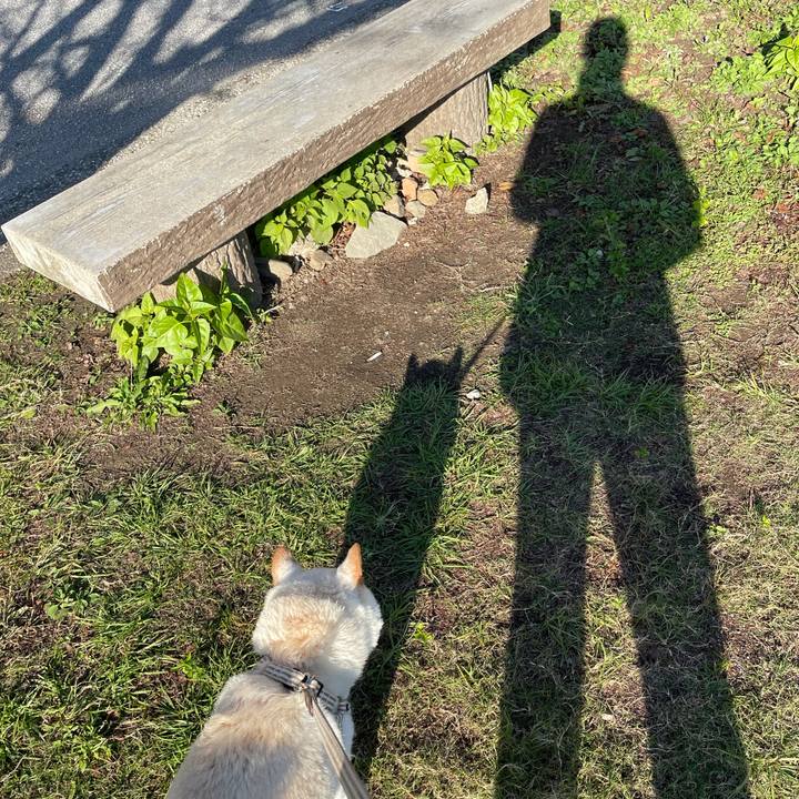 059375e5 db9c 4f93 85c7 88aa5b1d2a04 1635322052426