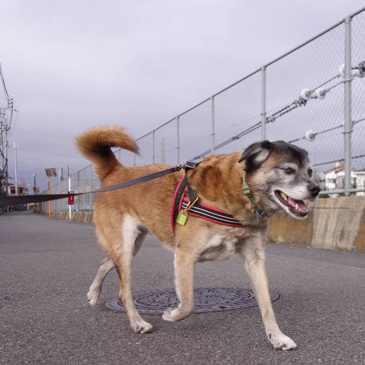 0593852f 387f 4991 a589 a7f7563d471b 1542500823008