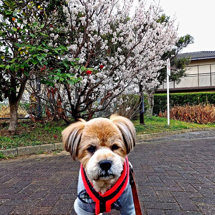 0593a158 2307 4436 bfbc d1d6dc8b0b60 1647215310606