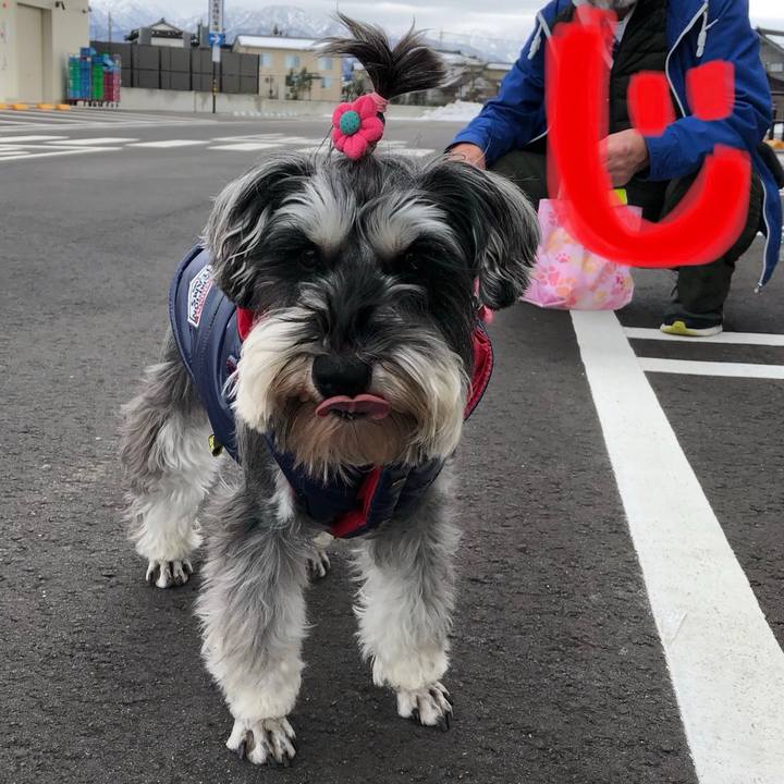 0593c07b 37bd 4dd5 8eb6 453716e4cf6c 1546413083864