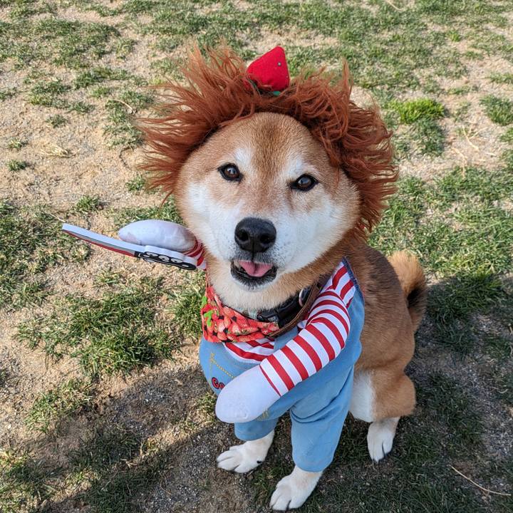 0593ea68 0319 4e81 9f00 a2be2afc5d8f 1707702399933