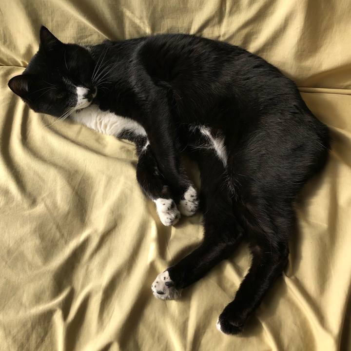 0593ec26 204d 43e2 aa16 175ed398c548 1551498931362