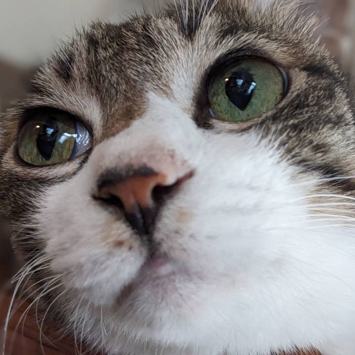 059439e1 5f19 4dd9 9869 745189c5aa8b 1759533324449