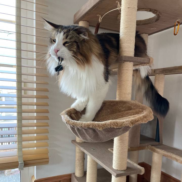 05944aae 13fb 471e b6d7 ea6563ef9c29 1681939593979