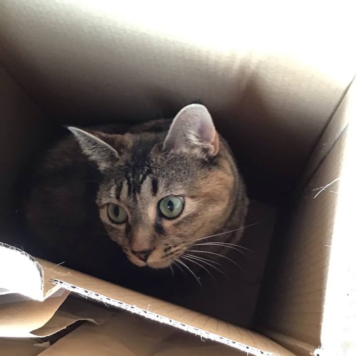 05945e90 cdb8 4553 b2ea bcbe6e922f7f 1702182439628