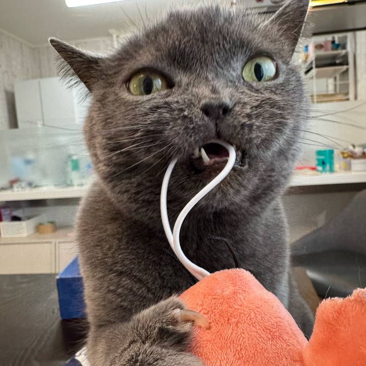 059462e6 fe05 4f41 88db b0dc4c37c163 1767342344601