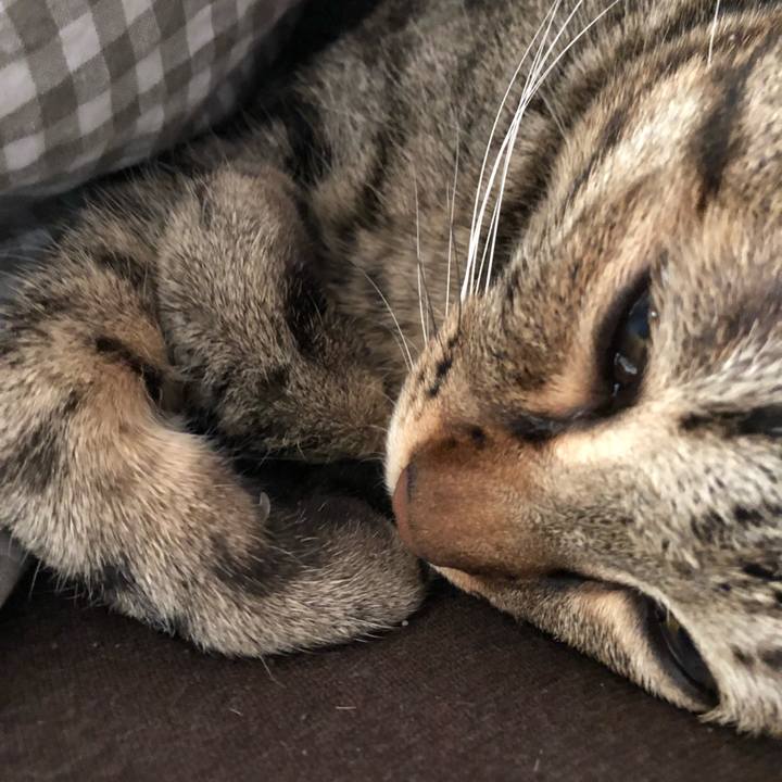 0594746c a859 4317 9186 3b22705e5313 1515684237901