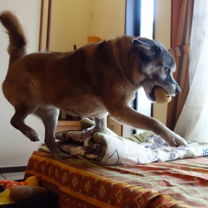 05947d19 f439 47ee be68 f8aa40fb66e9 1665709654108