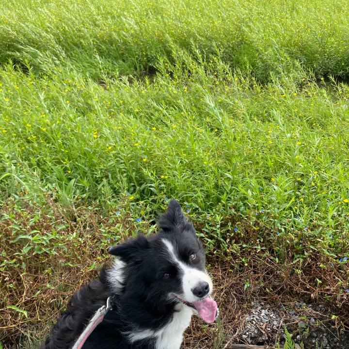 059497b4 c920 4f83 bdf1 76aee8378db1 1629851739283