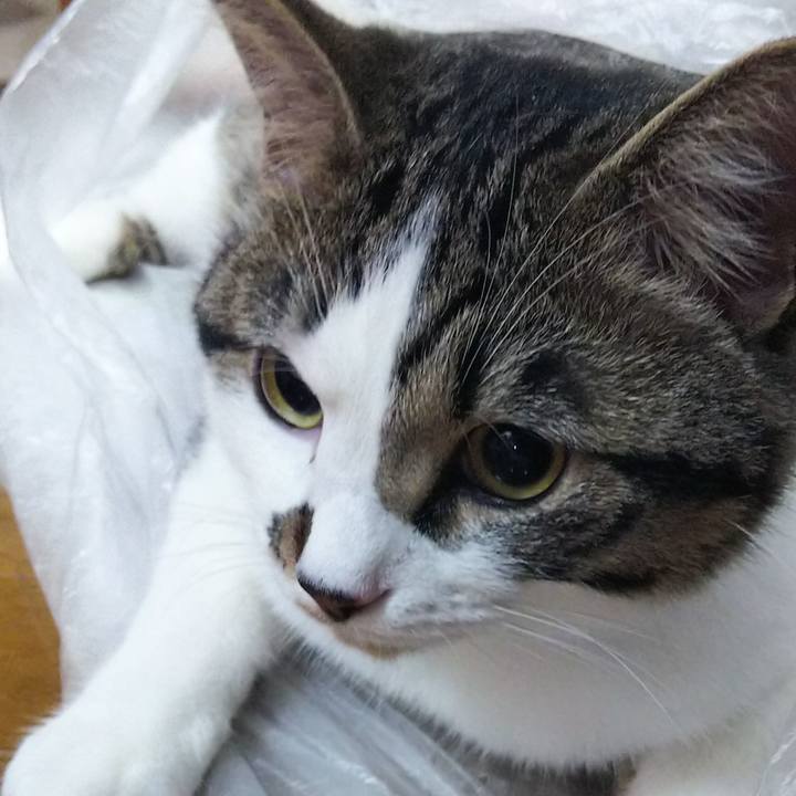 059520bf 3771 4d92 885b 6bafba24c692 1622721181451