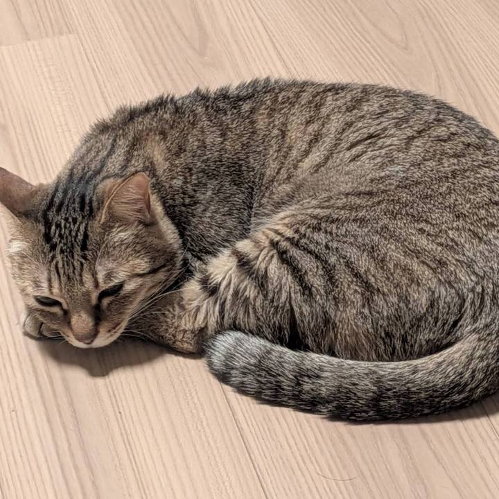 059529d2 17b8 42d9 a266 f945934cf104 1772636828705