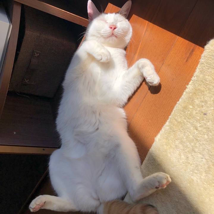 05952cdf 99d3 4d77 bf9c c9d4e5d95ad2 1758510457950