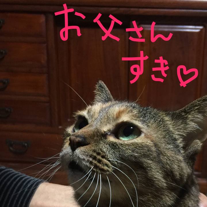 05952f43 0beb 4ec7 a1cd d4851dd5375c 1511521488067