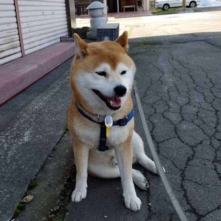 05954599 112d 4f34 98fe 34668d12a4ed 1553055039853