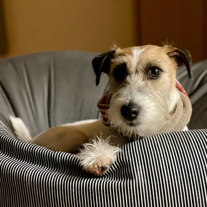 05957ae1 117d 4674 82a9 910f58e34bf4 1675767606441