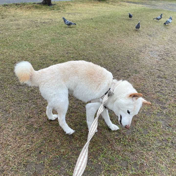 05959ea0 07b1 429e b18d d1d4130b25be 1647614832490