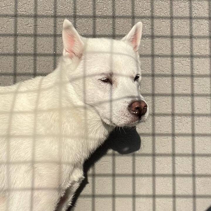 0595bda8 cedd 4b80 abeb 28db90f3f4d0 1697020114145