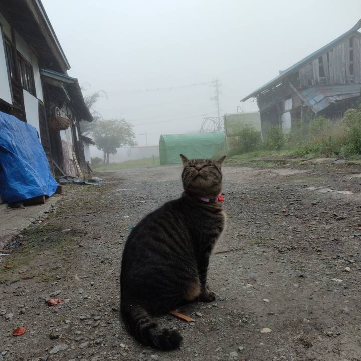 0595dce8 e418 4550 9f85 7eeb11323137 1664574203902