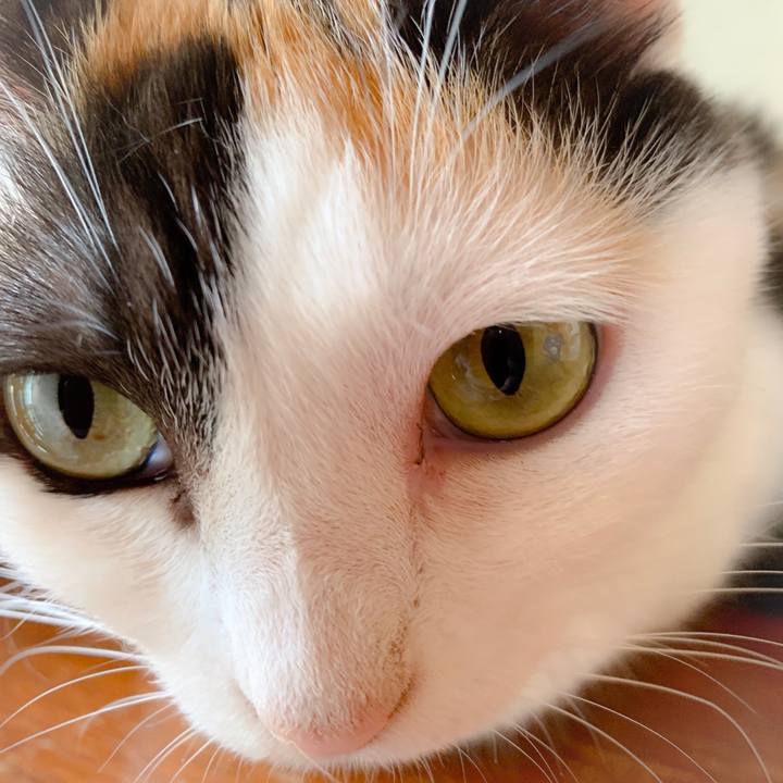 05964da0 d457 45ac a523 ee060bac06ad 1561166896527