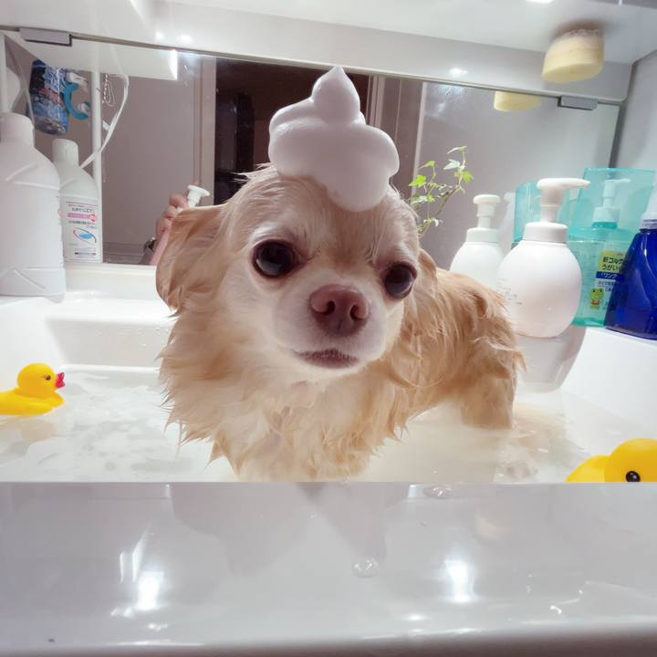 0596c218 4ce7 43f0 8db5 a27acd429dd1 1752752551734