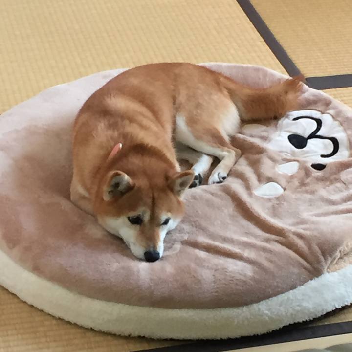 0596d211 f1f6 4f68 93c8 f08a34b370a1 1513300538865