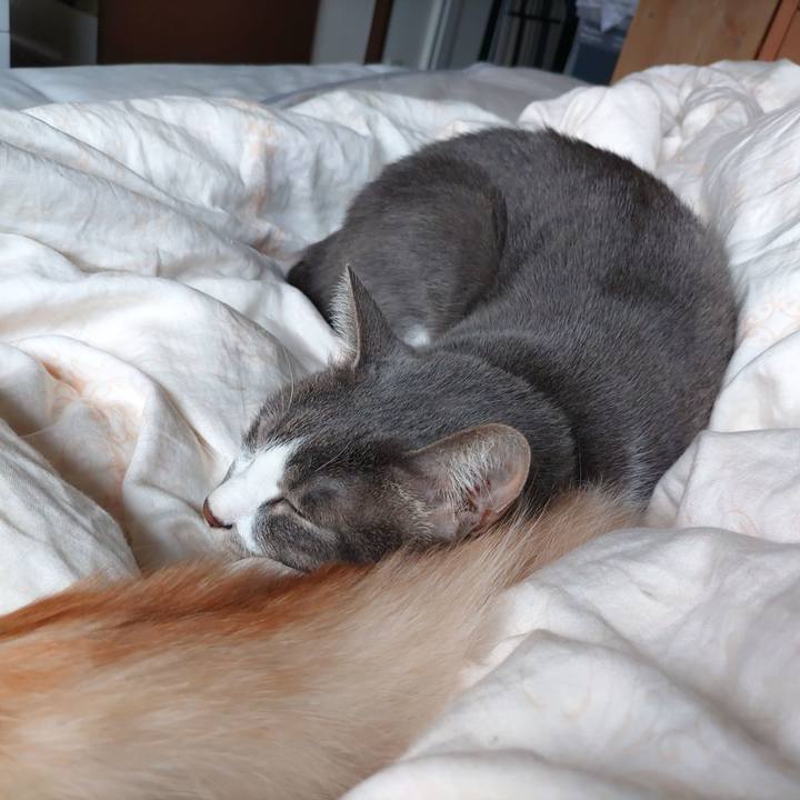 0596f625 4056 4b1f 872f 5def4c034181 1699689723963